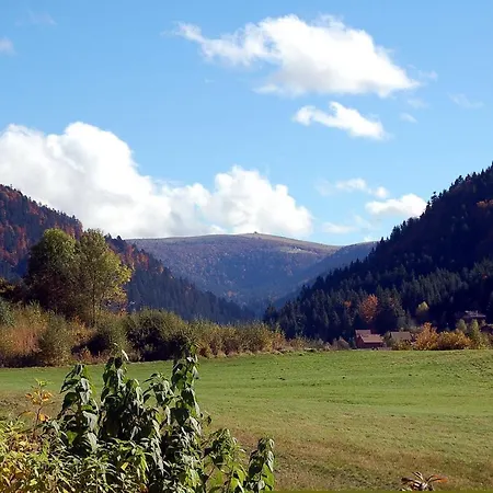 Le Murmure Du Ruisseau Chalet Xonrupt-Longemer