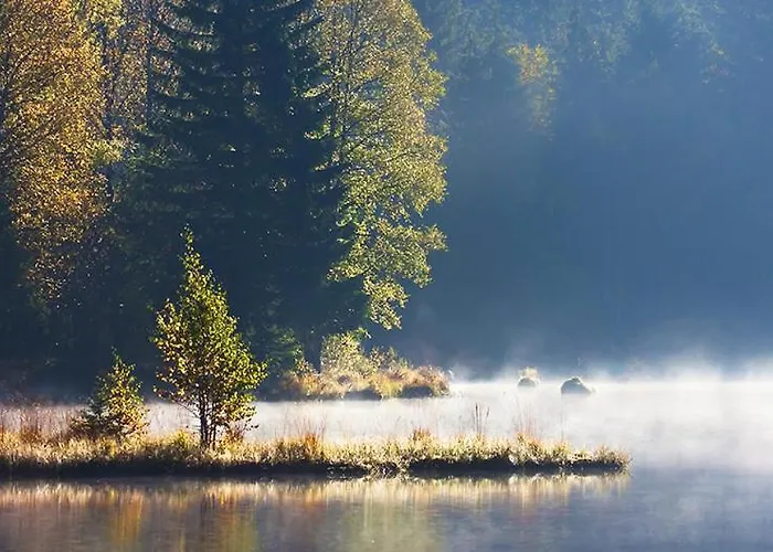 Horská chata Le Murmure Du Ruisseau Xonrupt-Longemer